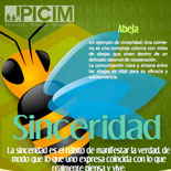 Boletín Junio IPICIM