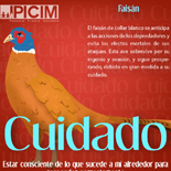 Boletín Octubre IPICIM